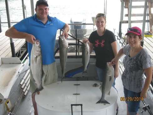 Nice Striped Bass